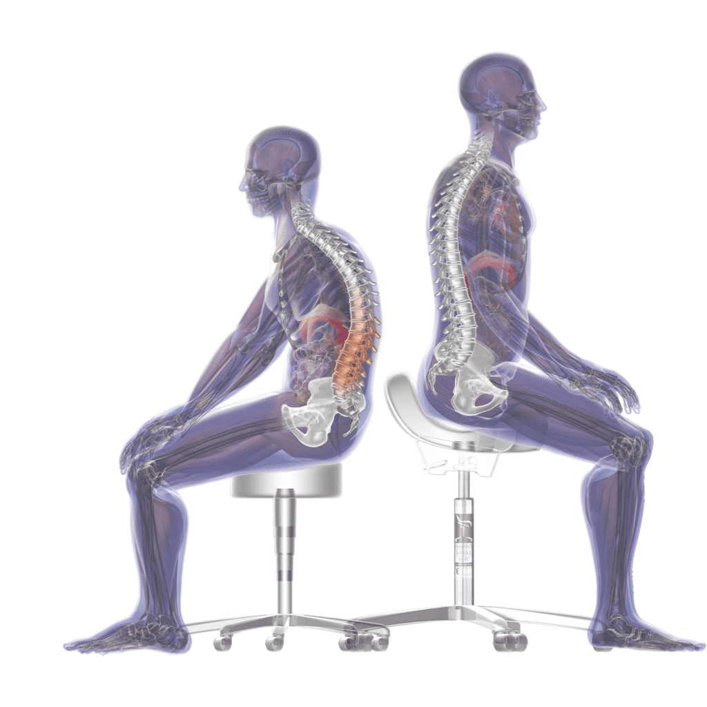 The Original Ergonomic Saddle Chair